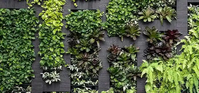 Vertical System in Sydney