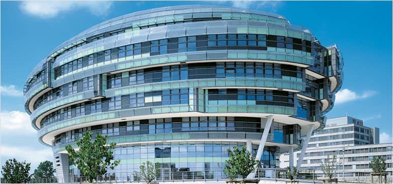 neuroscience-institute