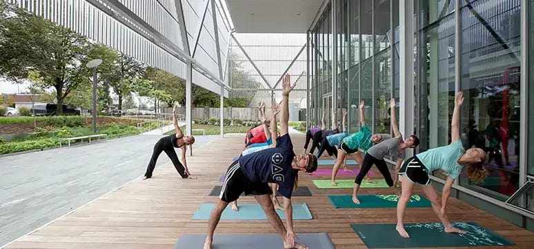 Fig 8: The veil extended out from the southern façade