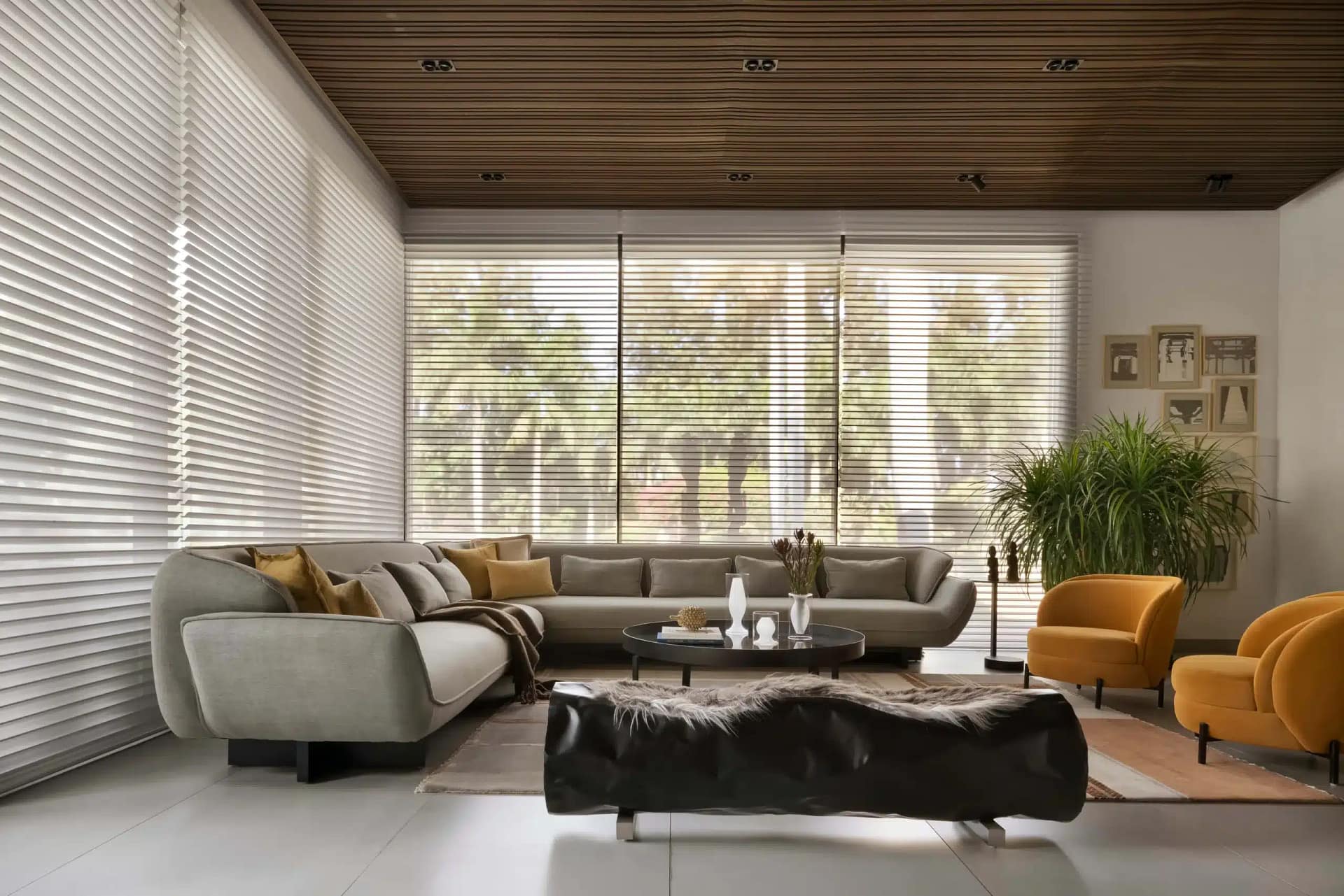 South-facing windows can be paired with horizontal shading to block high summer sun while still admitting winter sun